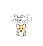 激しく尻尾をふるコーギー2（個別スタンプ：15）