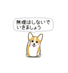 激しく尻尾をふるコーギー2（個別スタンプ：16）