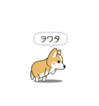激しく尻尾をふるコーギー2（個別スタンプ：18）