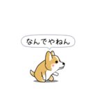激しく尻尾をふるコーギー2（個別スタンプ：19）