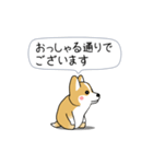 激しく尻尾をふるコーギー2（個別スタンプ：20）