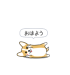 激しく尻尾をふるコーギー2（個別スタンプ：21）
