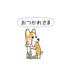 激しく尻尾をふるコーギー2（個別スタンプ：23）