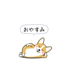 激しく尻尾をふるコーギー2（個別スタンプ：24）