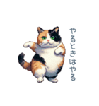 三毛猫ポケの日常【かわいい・連絡】（個別スタンプ：1）