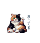 三毛猫ポケの日常【かわいい・連絡】（個別スタンプ：2）