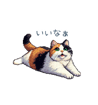 三毛猫ポケの日常【かわいい・連絡】（個別スタンプ：3）