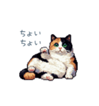 三毛猫ポケの日常【かわいい・連絡】（個別スタンプ：4）