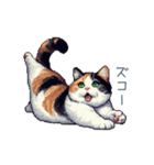 三毛猫ポケの日常【かわいい・連絡】（個別スタンプ：5）