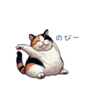三毛猫ポケの日常【かわいい・連絡】（個別スタンプ：6）