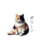 三毛猫ポケの日常【かわいい・連絡】（個別スタンプ：7）