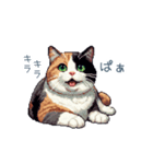 三毛猫ポケの日常【かわいい・連絡】（個別スタンプ：9）