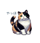 三毛猫ポケの日常【かわいい・連絡】（個別スタンプ：10）