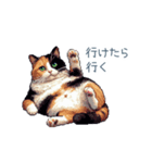 三毛猫ポケの日常【かわいい・連絡】（個別スタンプ：11）
