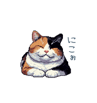 三毛猫ポケの日常【かわいい・連絡】（個別スタンプ：12）