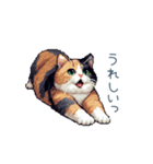 三毛猫ポケの日常【かわいい・連絡】（個別スタンプ：15）