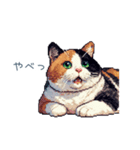 三毛猫ポケの日常【かわいい・連絡】（個別スタンプ：16）