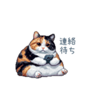 三毛猫ポケの日常【かわいい・連絡】（個別スタンプ：17）