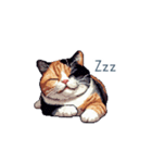 三毛猫ポケの日常【かわいい・連絡】（個別スタンプ：18）