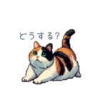 三毛猫ポケの日常【かわいい・連絡】（個別スタンプ：19）