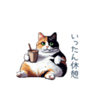 三毛猫ポケの日常【かわいい・連絡】（個別スタンプ：20）