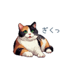 三毛猫ポケの日常【かわいい・連絡】（個別スタンプ：21）