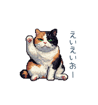 三毛猫ポケの日常【かわいい・連絡】（個別スタンプ：22）