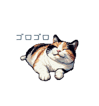 三毛猫ポケの日常【かわいい・連絡】（個別スタンプ：23）
