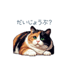 三毛猫ポケの日常【かわいい・連絡】（個別スタンプ：24）