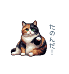 三毛猫ポケの日常【かわいい・連絡】（個別スタンプ：25）