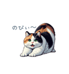 三毛猫ポケの日常【かわいい・連絡】（個別スタンプ：26）