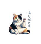 三毛猫ポケの日常【かわいい・連絡】（個別スタンプ：28）