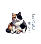 三毛猫ポケの日常【かわいい・連絡】（個別スタンプ：29）