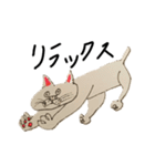 下杉正子あたらしく前へ（個別スタンプ：25）