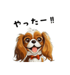 毎日使える大人可愛いキャバリア（個別スタンプ：1）