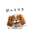 毎日使える大人可愛いキャバリア（個別スタンプ：5）
