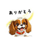 毎日使える大人可愛いキャバリア（個別スタンプ：8）