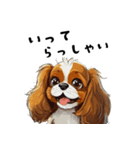 毎日使える大人可愛いキャバリア（個別スタンプ：10）