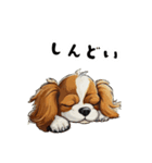 毎日使える大人可愛いキャバリア（個別スタンプ：18）