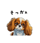 毎日使える大人可愛いキャバリア（個別スタンプ：20）