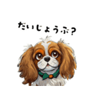 毎日使える大人可愛いキャバリア（個別スタンプ：21）