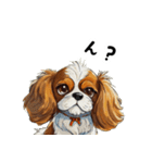 毎日使える大人可愛いキャバリア（個別スタンプ：34）