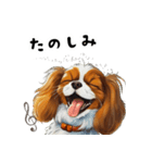 毎日使える大人可愛いキャバリア（個別スタンプ：36）