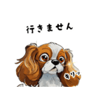 毎日使える大人可愛いキャバリア（個別スタンプ：38）