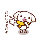 マルチーズ_モモの秋冬模様（個別スタンプ：9）