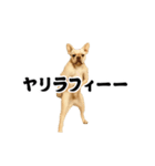 踊る！横揺れ界隈/フレンチブルドック（個別スタンプ：4）