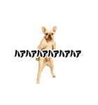 踊る！横揺れ界隈/フレンチブルドック（個別スタンプ：11）