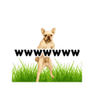 踊る！横揺れ界隈/フレンチブルドック（個別スタンプ：12）