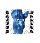 踊る！横揺れ界隈/フレンチブルドック（個別スタンプ：13）