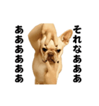 踊る！横揺れ界隈/フレンチブルドック（個別スタンプ：16）